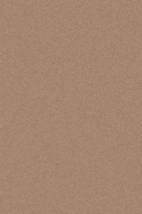 Ковры тканные Платинум 100*200 t600 STAN DARK BEIGE