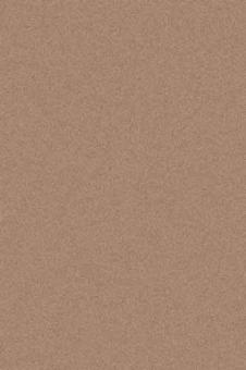 Ковры тканные Платинум 100*200 t600 STAN DARK BEIGE